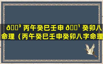 🐳 丙午癸巳壬申 🌹 癸卯八字命理（丙午癸巳壬申癸卯八字命理解析）